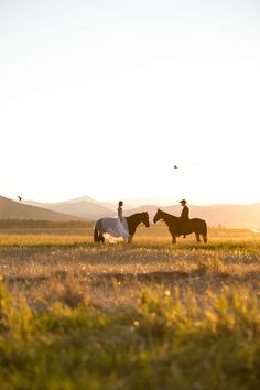 two people riding horses in an open field