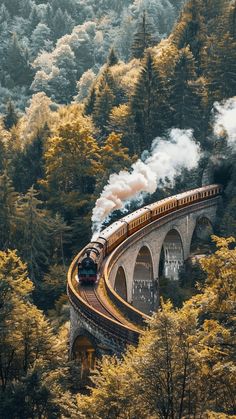 a train traveling over a bridge in the middle of a lush green forest filled with trees