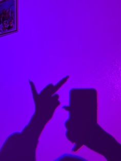 the shadow of a person holding a cell phone in front of a purple wall with pictures on it