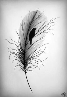 a black and white drawing of a feather