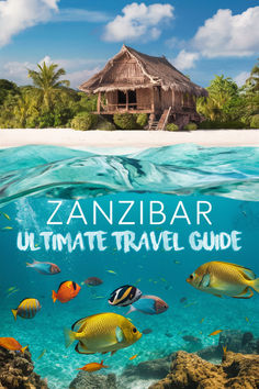 an underwater photo with the words zanibar ultimate travel guide in front of it