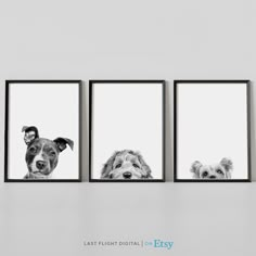 three dogs are hanging on the wall with their faces in black and white frames, one dog is looking at the camera