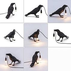 several images of different types of birds with lights attached to their bodies and legs, all in various positions