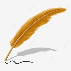 a yellow feather quill on a white background with the shadow of it's tail