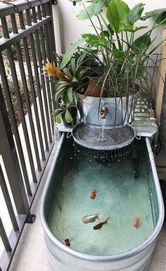 a metal tub filled with plants and goldfish