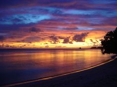 the sun is setting over the ocean with clouds in the sky and trees on the shore