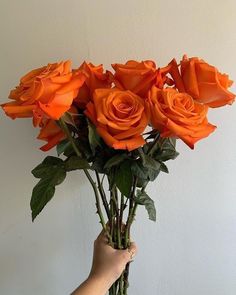 a hand holding a bouquet of orange roses