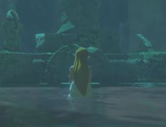 Calamity Zelda, Botw Princess Zelda, Zelda Screenshots, Wolf Link, Age Of Calamity, Princesa Zelda, Ship Name, Zelda And Link, Wild Wolf