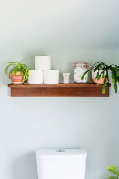 a shelf above a toilet filled with plants and other bathroom items on top of it