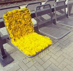 a bunch of yellow flowers sitting on top of a metal bench