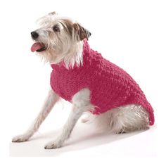 a small white dog wearing a pink sweater and sticking its tongue out to the side