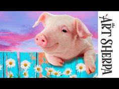 a pig is sitting on a fence with daisies