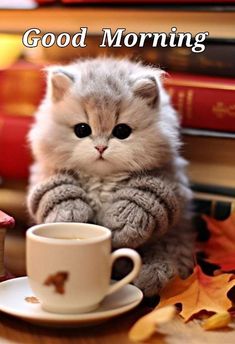 a cat sitting on top of a table next to a cup