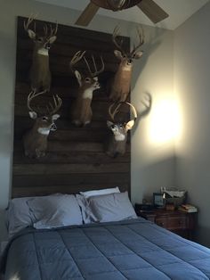 deer heads mounted on the wall above a bed