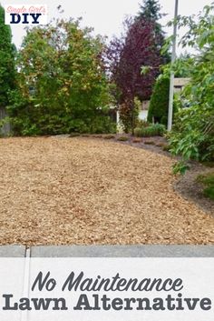 no maintenance lawn alternative for small backyards