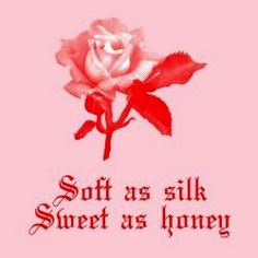 a pink rose with the words soft as silk sweet as honey