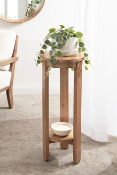 a potted plant sitting on top of a wooden table next to a mirror and chair