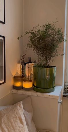 a green potted plant sitting on top of a white shelf next to a window