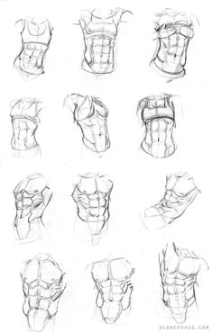 sketches of the torso and head of an adult male in various positions, from front to back