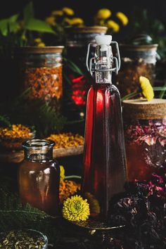 various jars filled with flowers and herbs next to each other