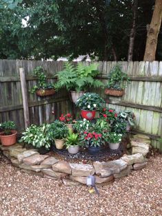 there are many potted plants in the garden on this fenced area with rocks and gravel