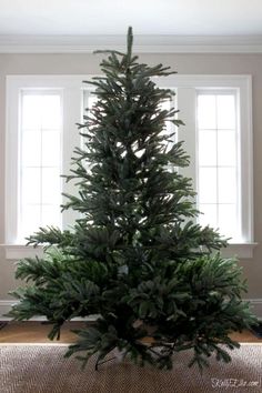 a small christmas tree sitting in front of a window