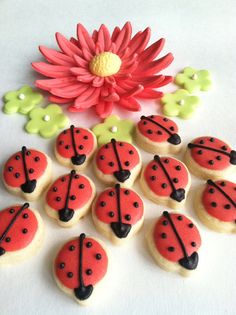 decorated cookies arranged in the shape of ladybugs on a table with a flower