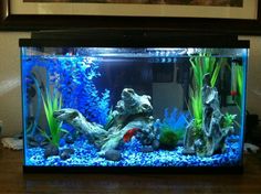 an aquarium filled with water and rocks on top of a wooden table next to a painting