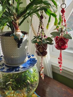 three plants are hanging from the ceiling in front of a potted plant on a table