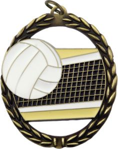 a gold medal with a volleyball ball and net in the center on a white background