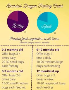 the benefits of baby feeding chart