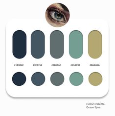 an eye color palette with different shades