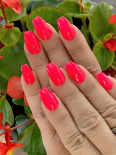 Acrylics Square, Uñas Color Coral, Nail Gelish, Neon Pink Nail Polish, Bright Pink Nails, Neon Pink Nails, Nails Bright, Neon Nail Polish, Coral Nails