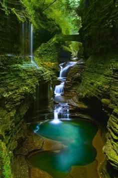 a small waterfall in the middle of a forest with green moss growing on it's sides