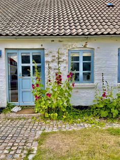 an old white house with blue windows and flowers growing out of the window sill