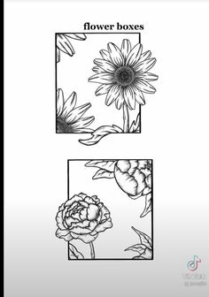 the flower boxes are shown in black and white, with an image of a sunflower