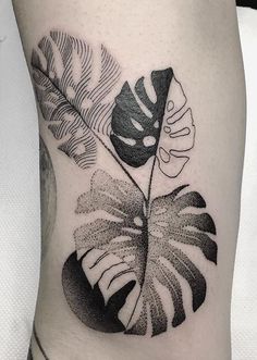 Best Plant Tattoos For Every one Monstera Leaf Tattoo, Tattoo Leaf, Monstera Tattoo, Botanisches Tattoo, Tatuaje Cover Up, Geometric Tattoo Pattern, Leaf Tattoo, Tattoos Mandala, Muster Tattoos