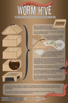 an info sheet showing the different types of items in each shelf and how to use them