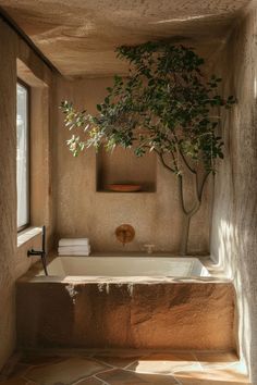 a tree is growing in the corner of a bathtub that's next to a window