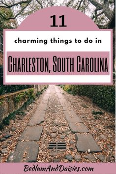 the path leading to charleston, south carolina with text overlay that reads 11 charming things to do in charleston, south carolina