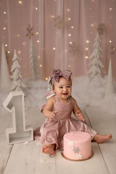 Sage Green Christmas Photoshoot, Winter 1 Year Photoshoot, Christmas Smash Cake Photoshoot, One Year Old Winter Photoshoot, Cake Smash Photos Winter, Winter Onederland Photoshoot, Winter Cake Smash Girl, Winter 1st Birthday Photo Shoot, First Birthday Photo Shoot Ideas Winter