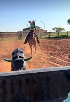 a man riding on the back of a brown horse next to a white cow in a dirt field