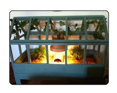 an indoor fireplace with plants growing out of it