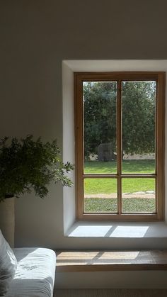 an empty room with a bed, window and potted plant on the floor in front of it