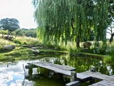 a wooden dock sitting in the middle of a pond