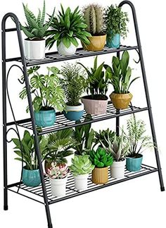 a shelf filled with potted plants on top of a wooden floor