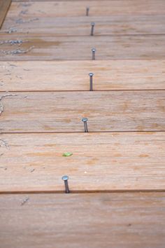 several nails are stuck in the wooden floor