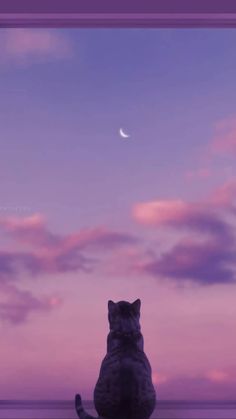 a cat sitting on the ground looking out at the sky with a half moon in the distance