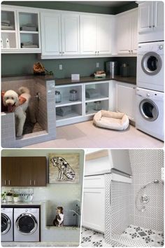 Stylish laundry room with dog washing station storage and washing machines modern design Dog Shower, Dog Rooms, Animal Room, Laundry Mud Room, Luxury Pet, Laundry Room Design, Dog Houses, Model Homes