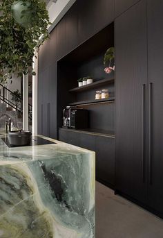 an elegant kitchen with black cabinets and marble counter tops, along with green plants in pots